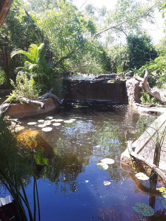 Chinderera Eco Lodge Manguzi Esterno foto
